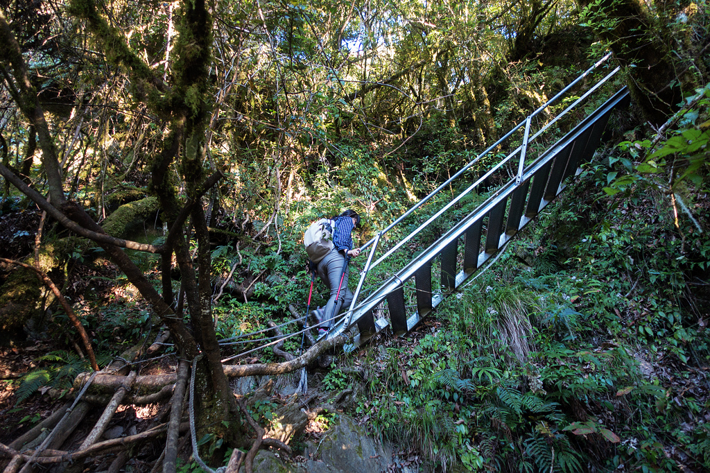 DSC02614.jpg DSC02614.jpg