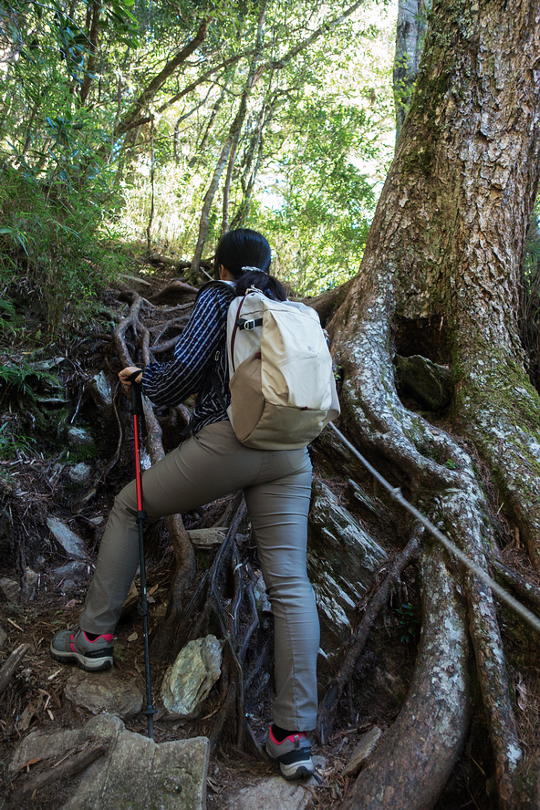 DSC02621.jpg DSC02621.jpg