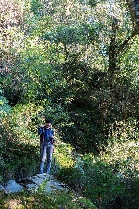 DSC02611.jpg DSC02611.jpg