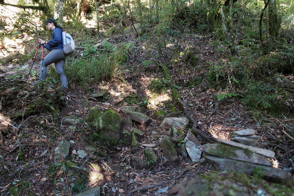 DSC02617.jpg DSC02617.jpg