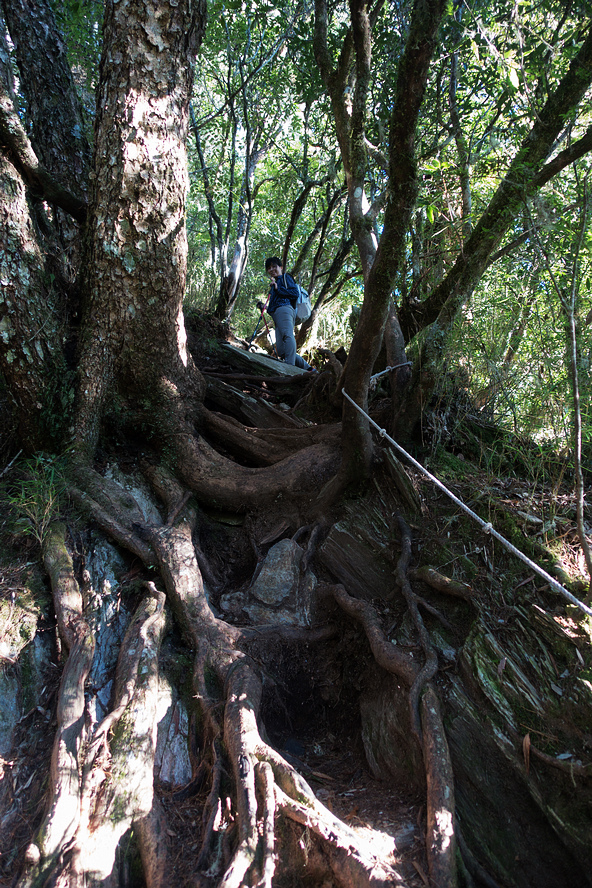 DSC02625.jpg DSC02625.jpg