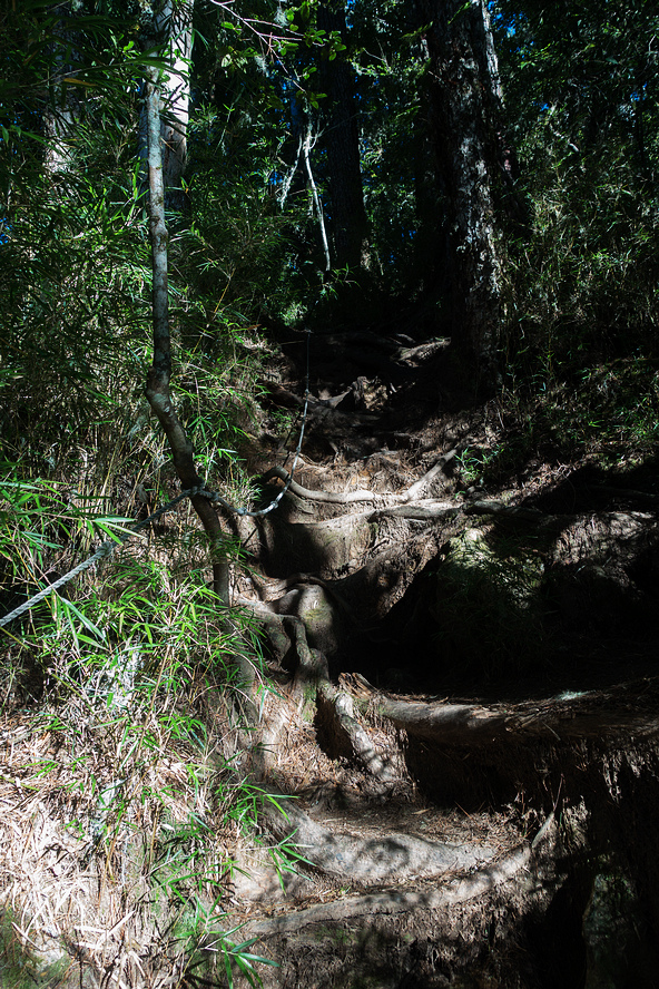 DSC02629.jpg DSC02629.jpg