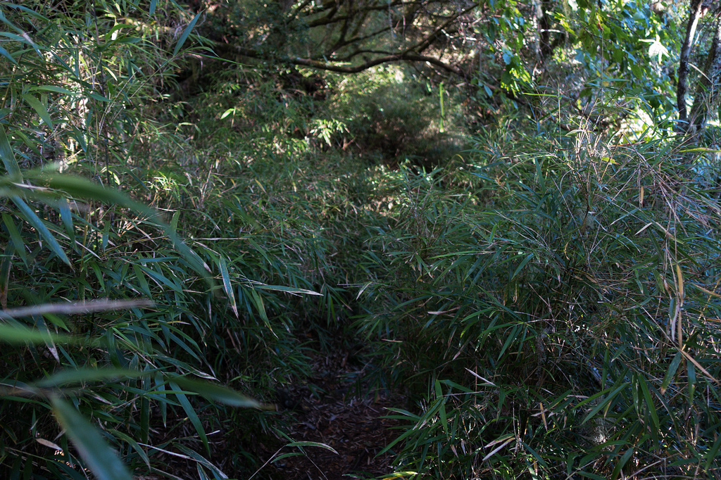 DSC02628.jpg DSC02628.jpg