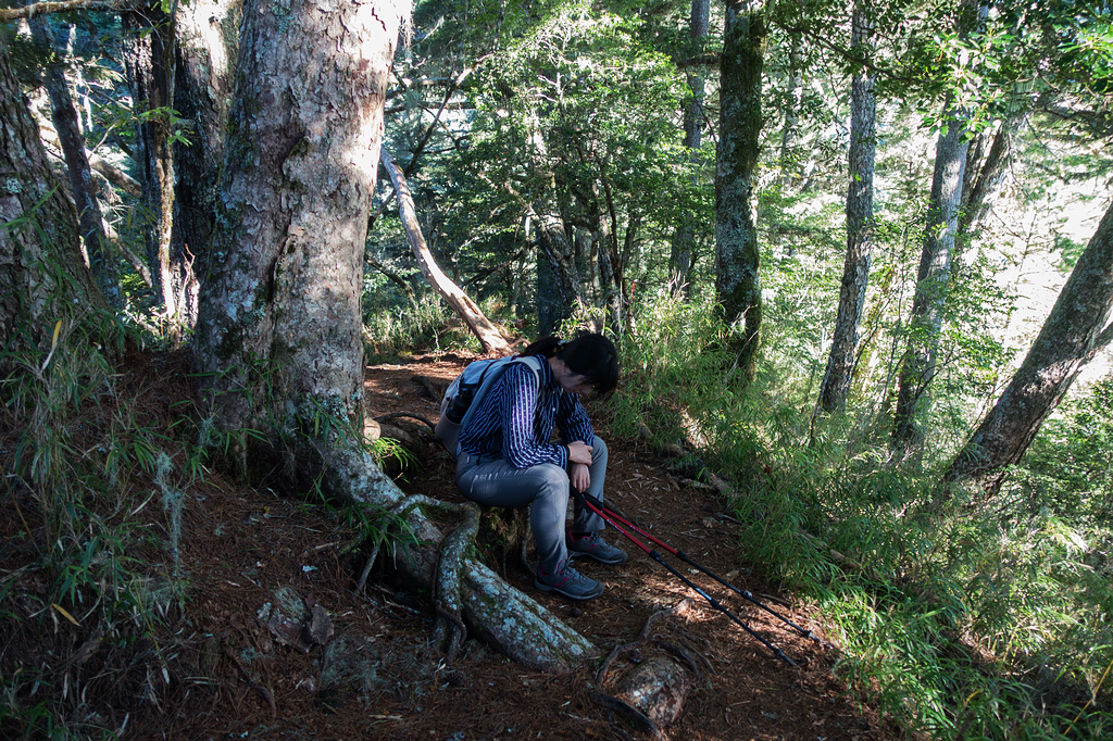 DSC02632.jpg DSC02632.jpg