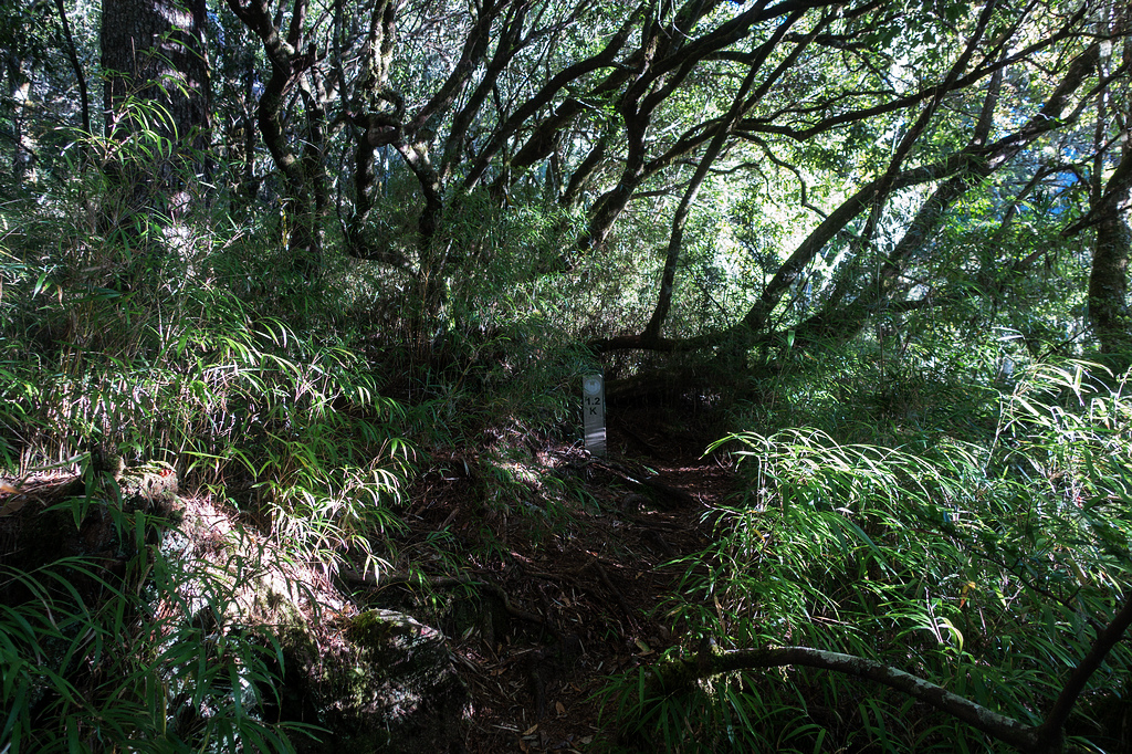 DSC02627.jpg DSC02627.jpg