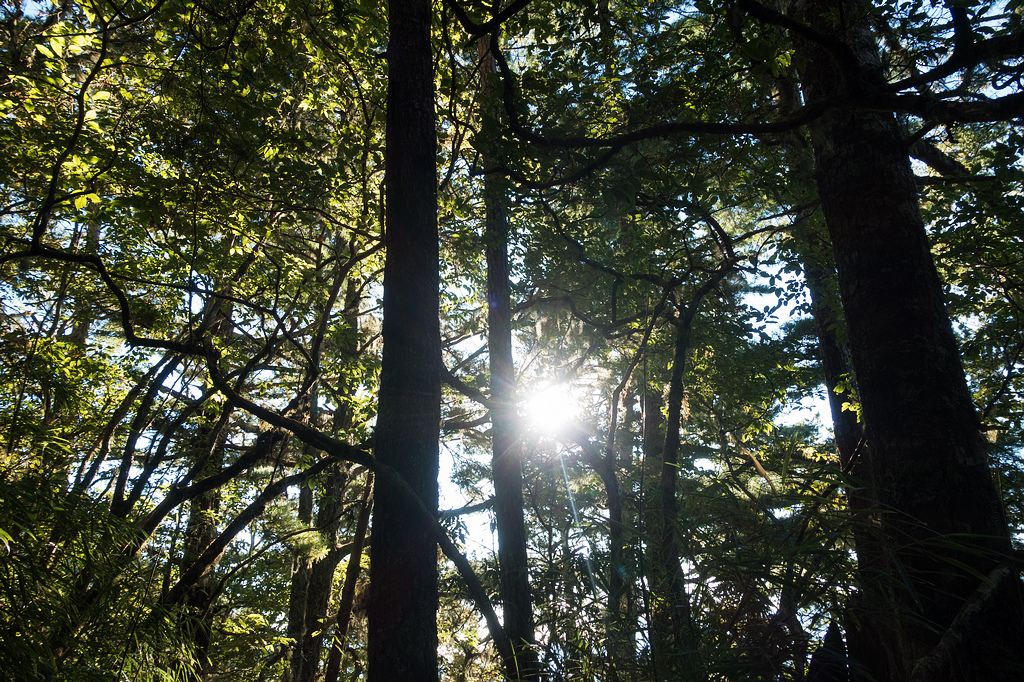 DSC02631.jpg DSC02631.jpg