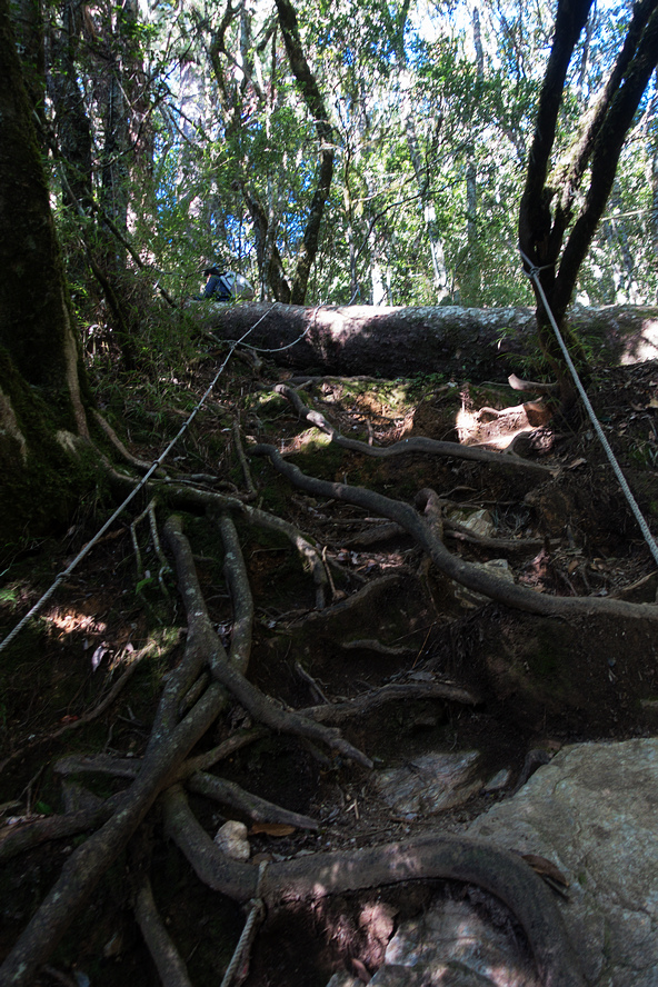 DSC02635.jpg DSC02635.jpg