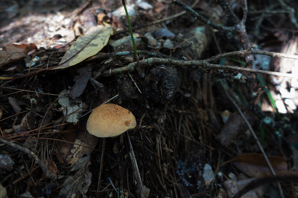 DSC02638.jpg DSC02638.jpg