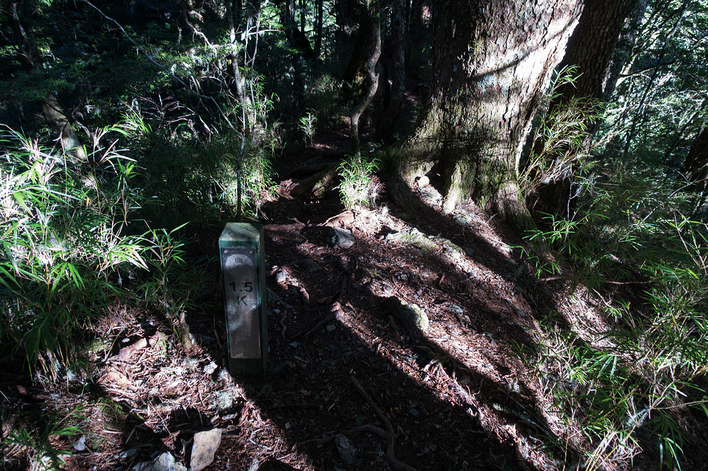 DSC02633.jpg DSC02633.jpg