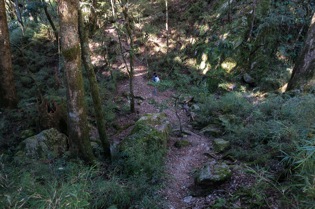 DSC02634.jpg DSC02634.jpg