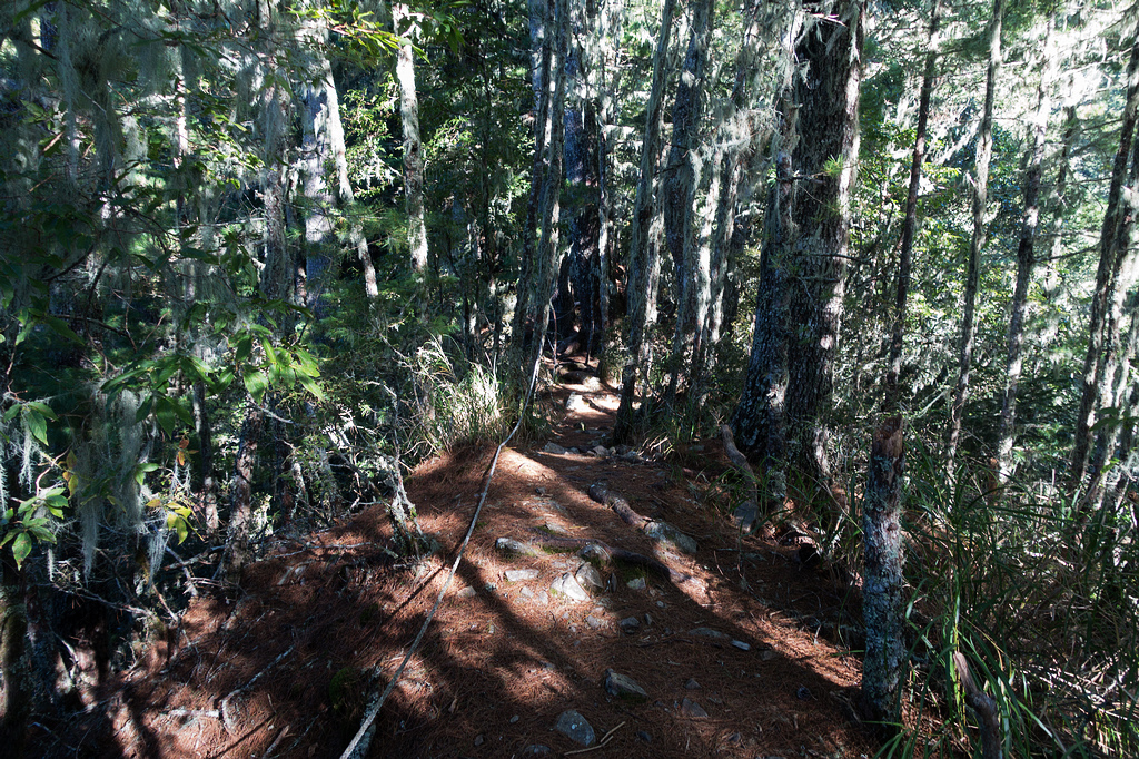 DSC02643.jpg DSC02643.jpg