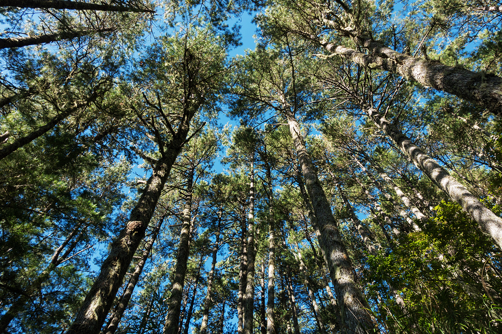 DSC02641.jpg DSC02641.jpg