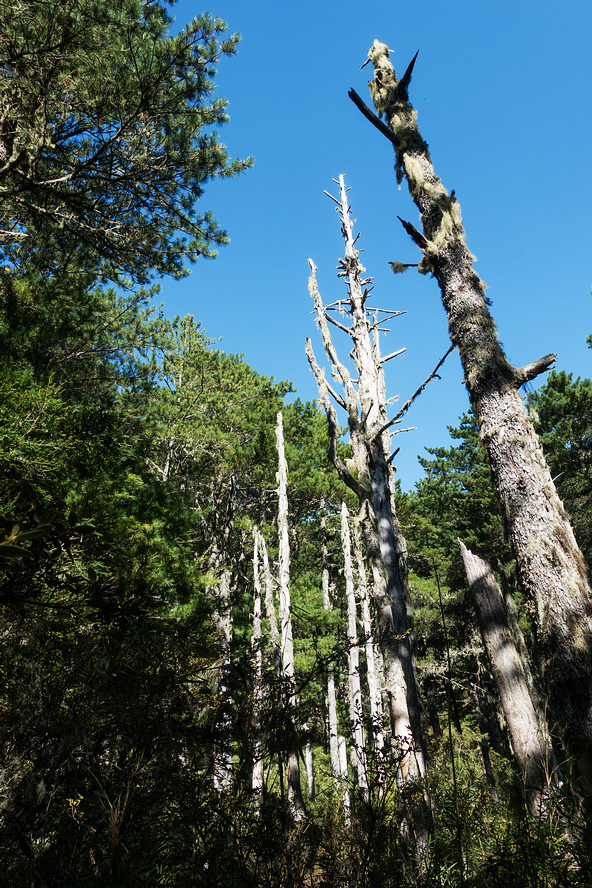 DSC02647.jpg DSC02647.jpg