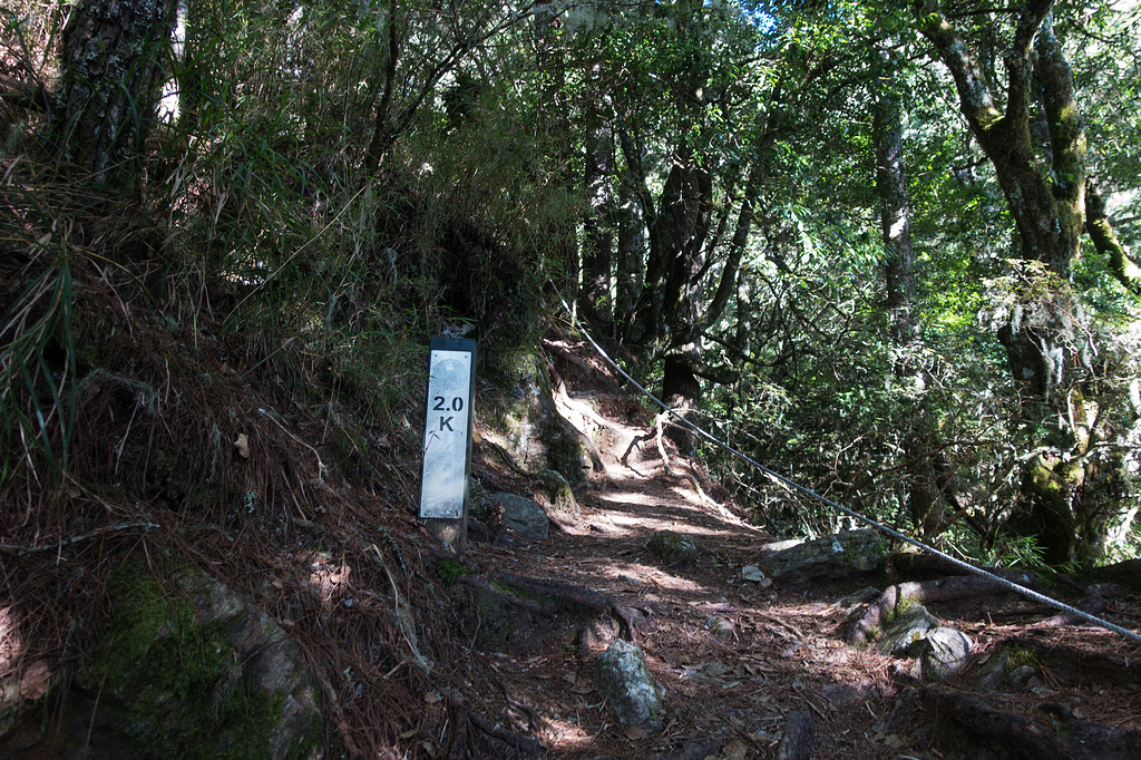 DSC02644.jpg DSC02644.jpg