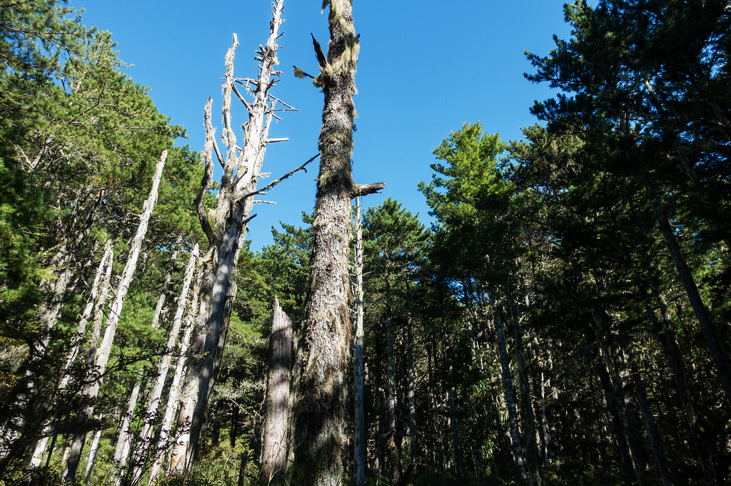 DSC02645.jpg DSC02645.jpg