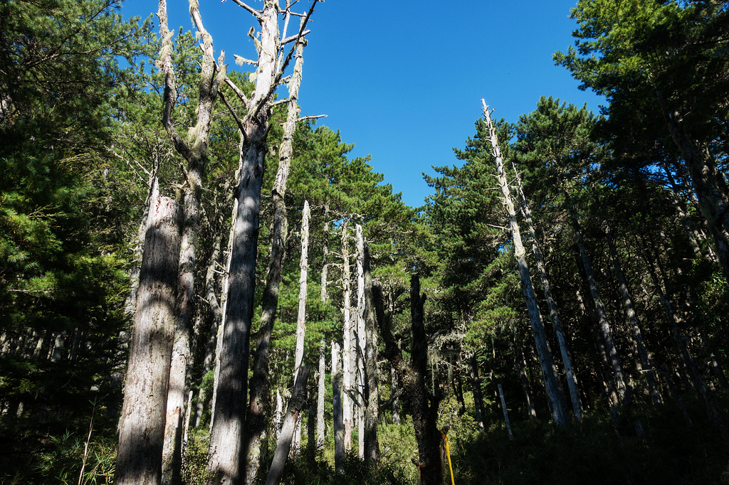 DSC02650.jpg DSC02650.jpg