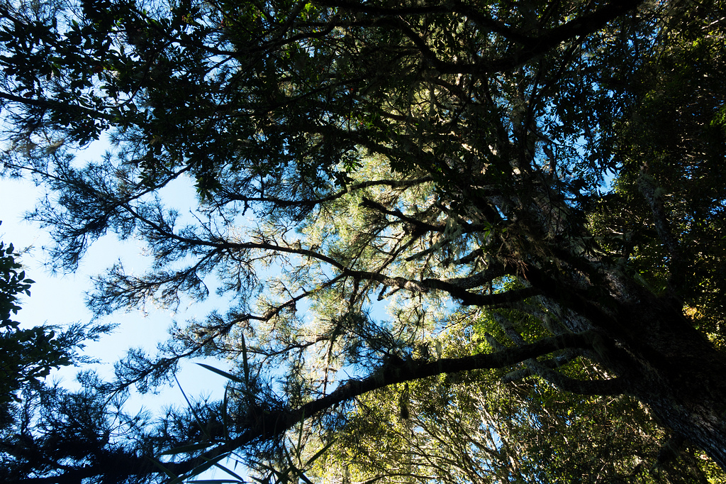 DSC02640.jpg DSC02640.jpg