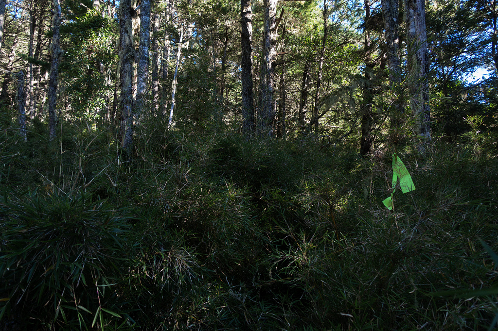 DSC02654.jpg DSC02654.jpg