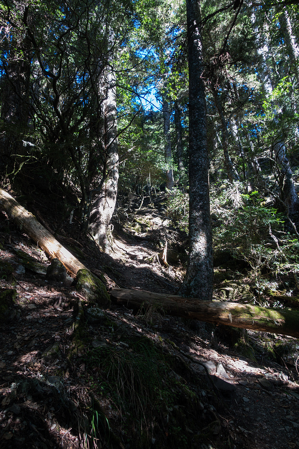 DSC02660.jpg DSC02660.jpg