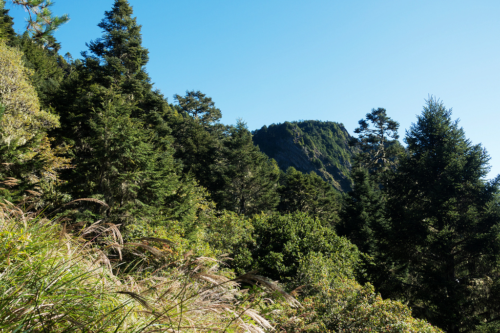 DSC02664.jpg DSC02664.jpg