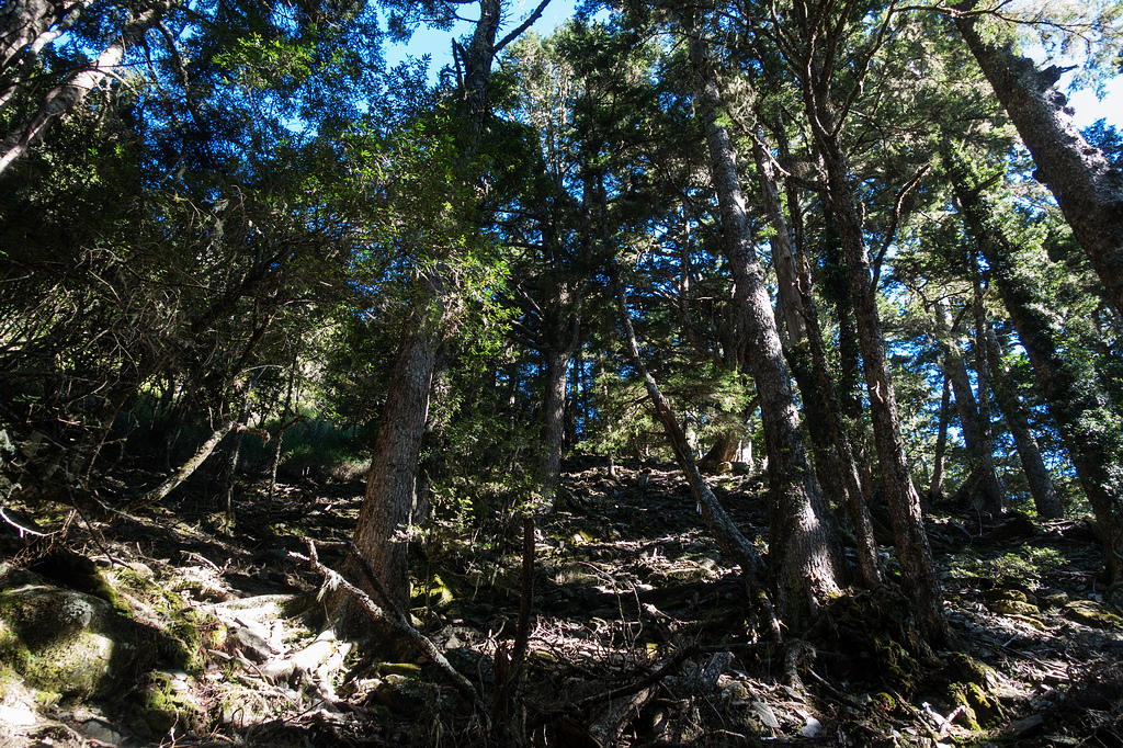 DSC02661.jpg DSC02661.jpg