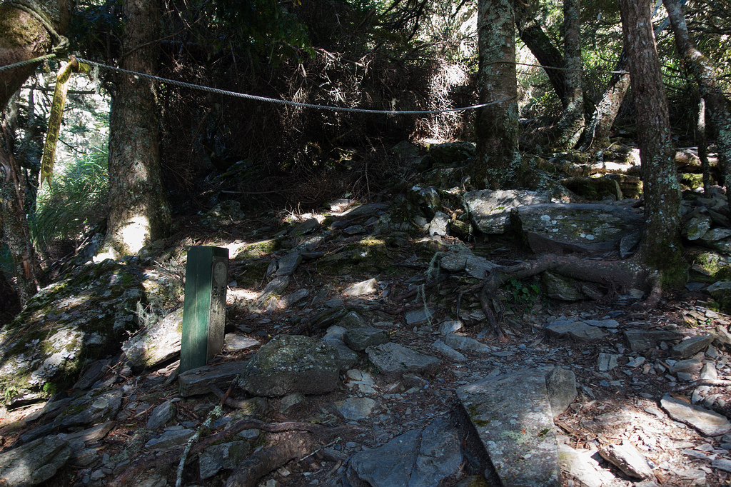 DSC02662.jpg DSC02662.jpg