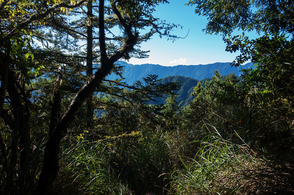 DSC02668.jpg DSC02668.jpg