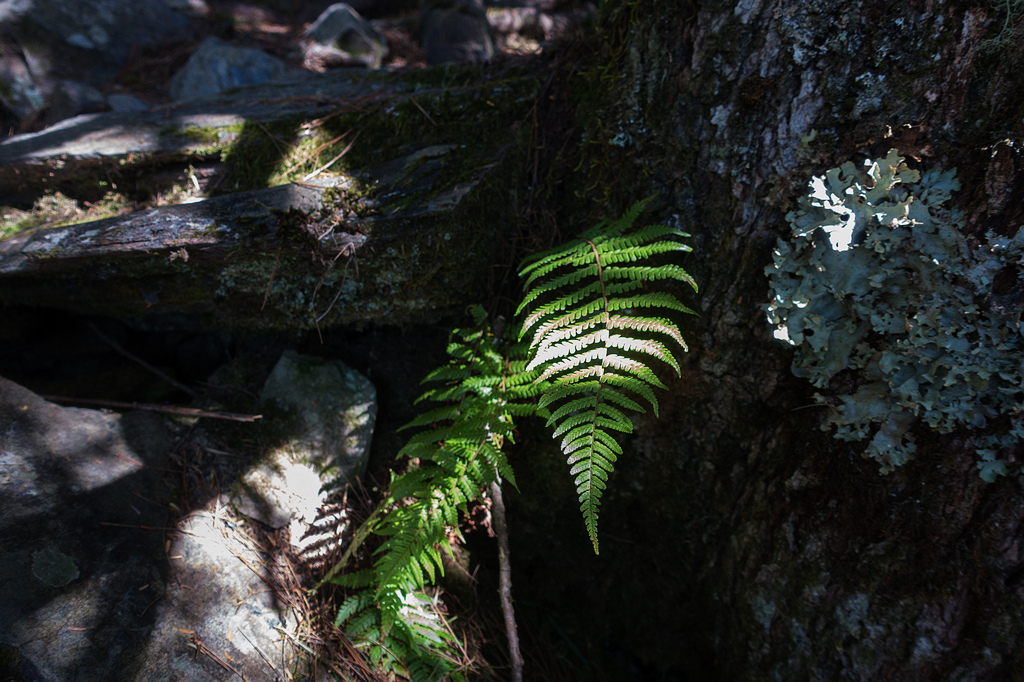 DSC02670.jpg DSC02670.jpg