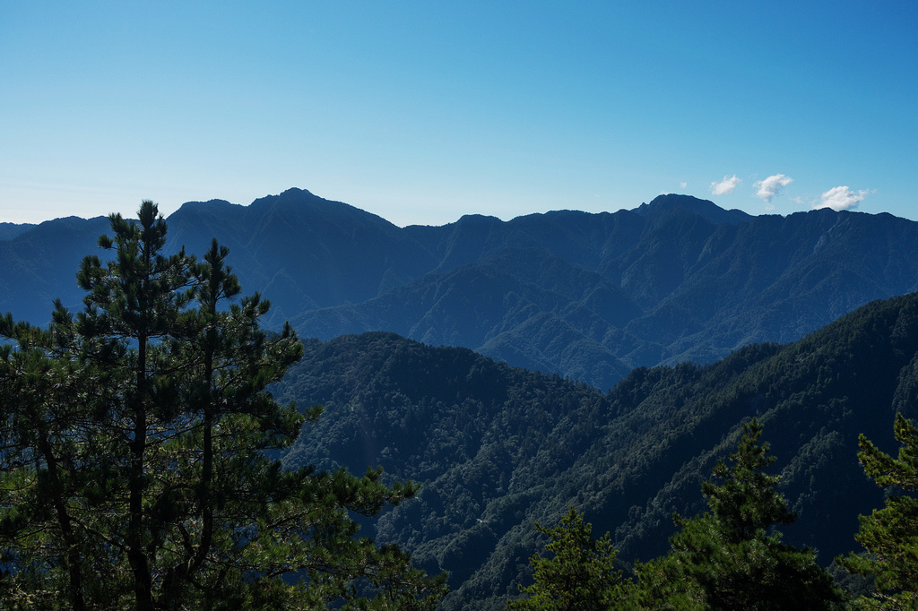 DSC02675.jpg DSC02675.jpg