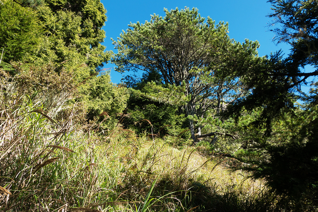 DSC02666.jpg DSC02666.jpg