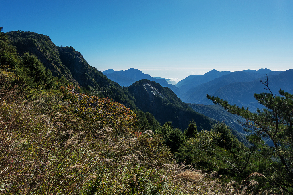 DSC02677.jpg DSC02677.jpg