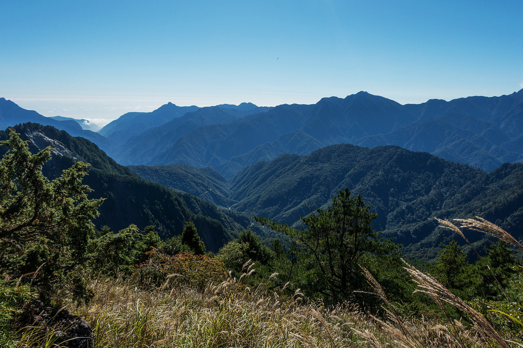 DSC02679.jpg DSC02679.jpg