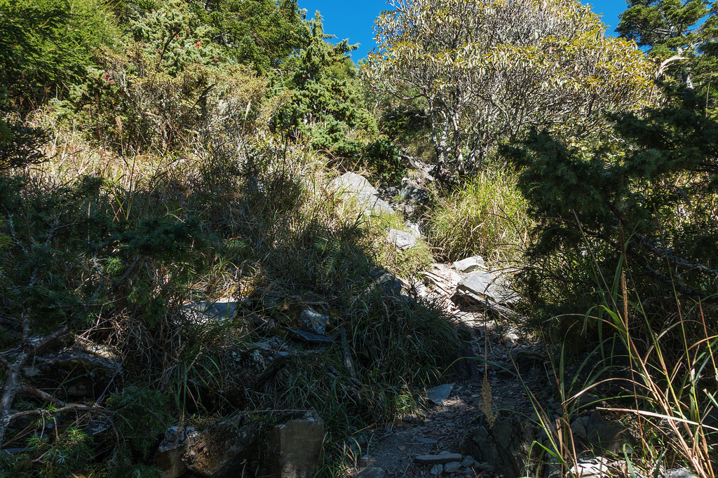 DSC02680.jpg DSC02680.jpg