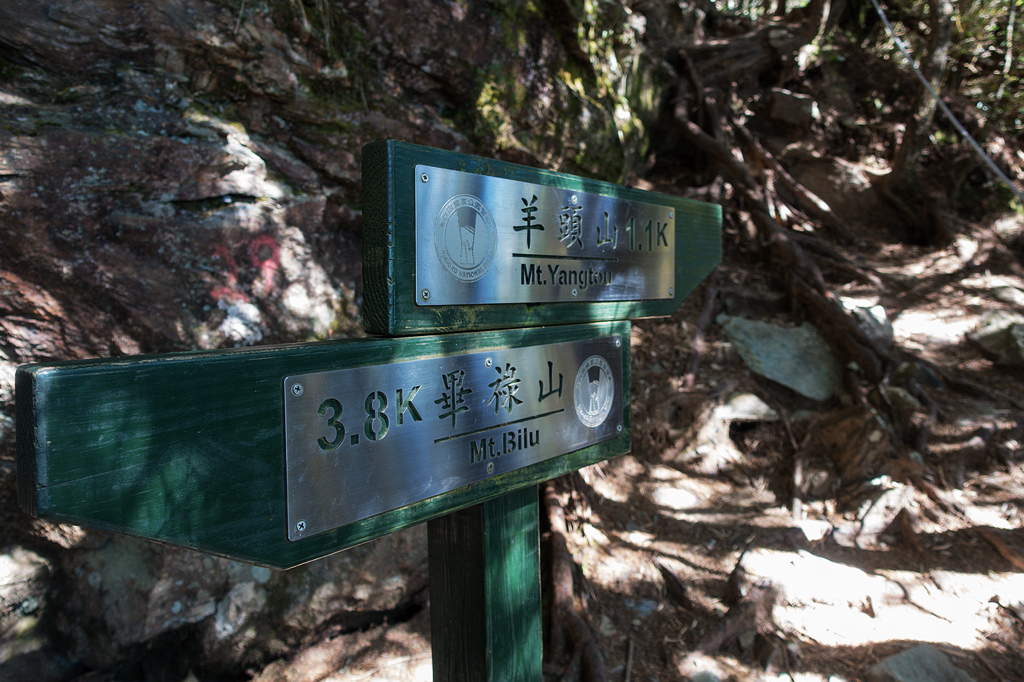 DSC02685.jpg DSC02685.jpg