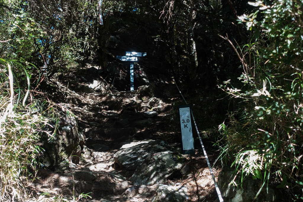 DSC02681.jpg DSC02681.jpg