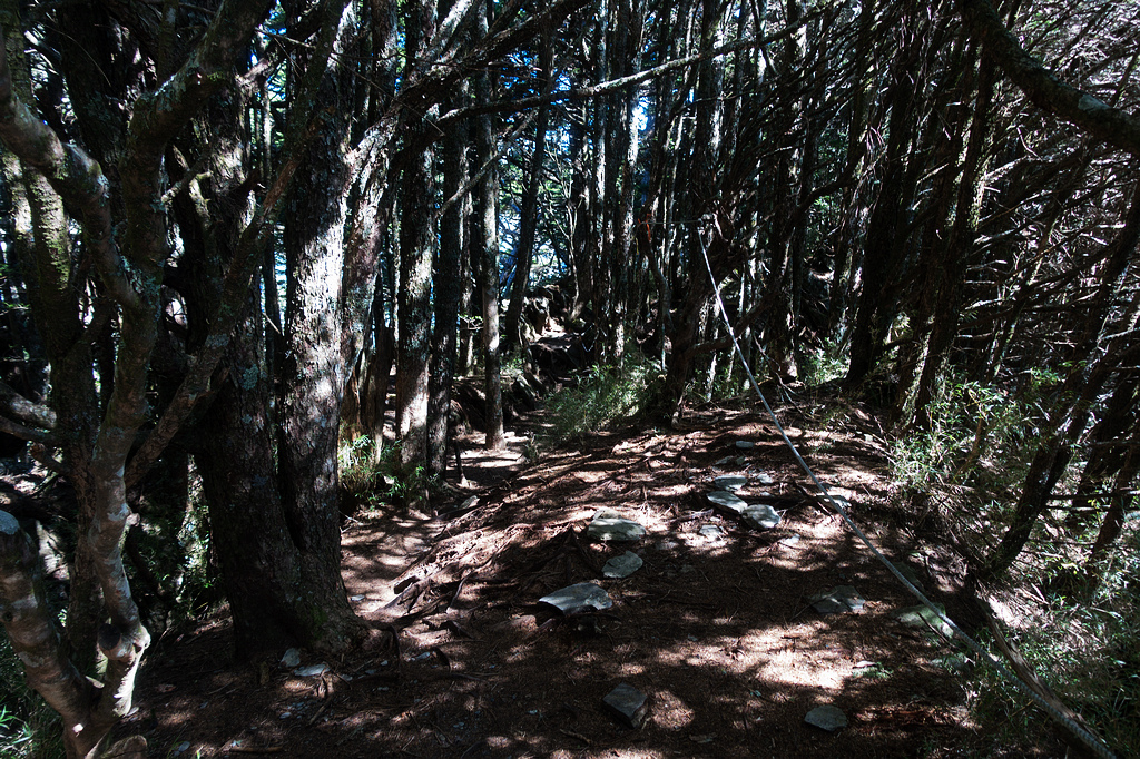 DSC02687.jpg DSC02687.jpg