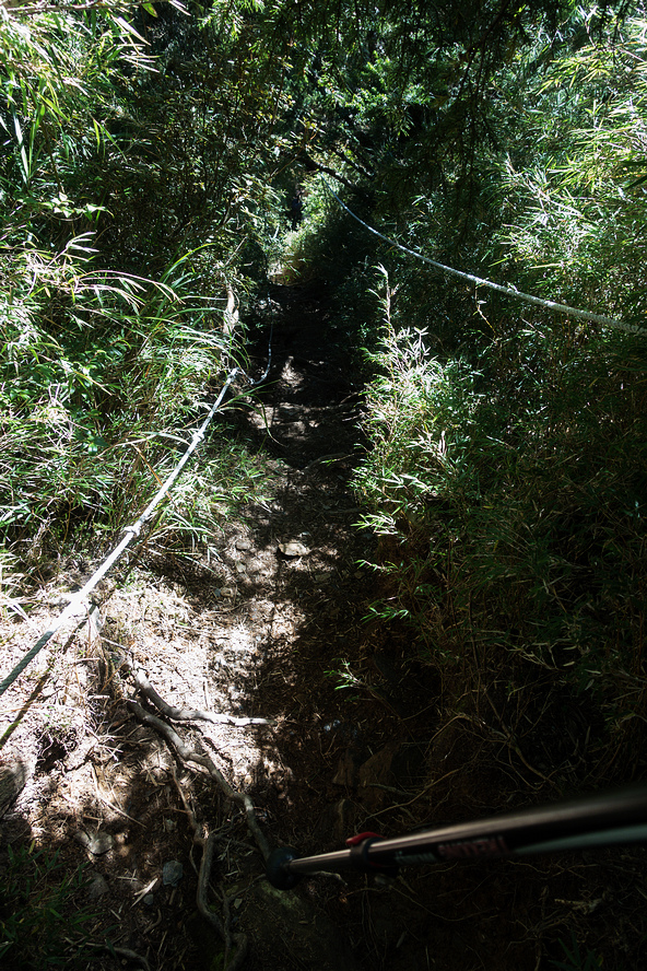 DSC02688.jpg DSC02688.jpg