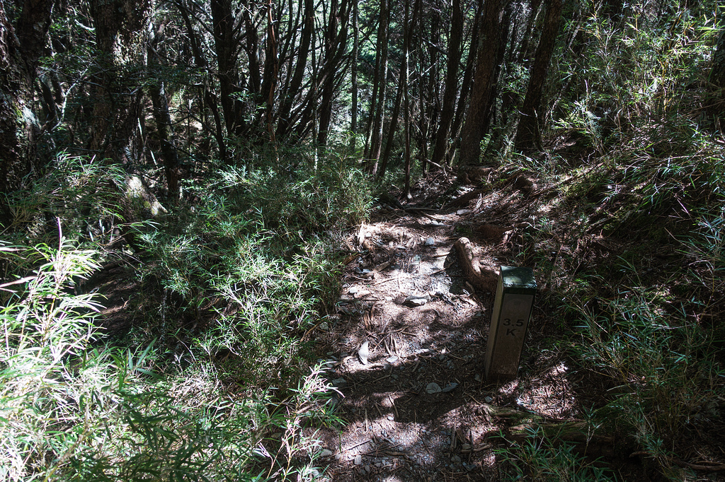 DSC02702.jpg DSC02702.jpg