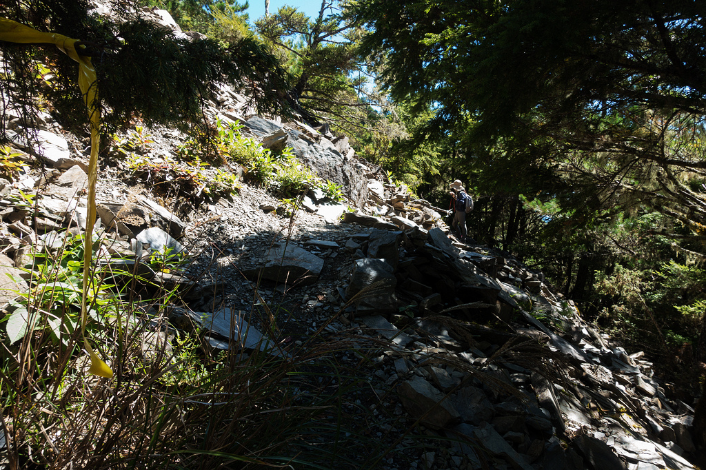 DSC02703.jpg DSC02703.jpg