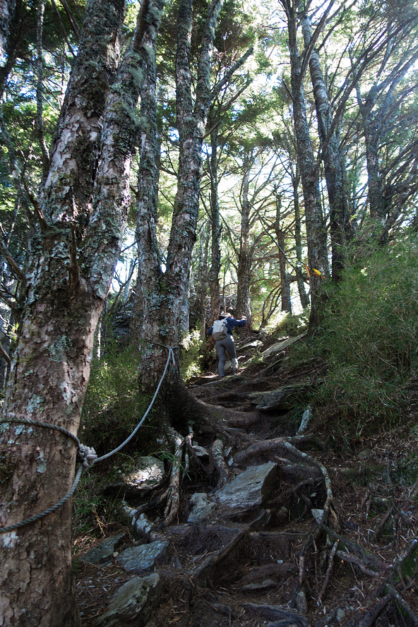 DSC02707.jpg DSC02707.jpg