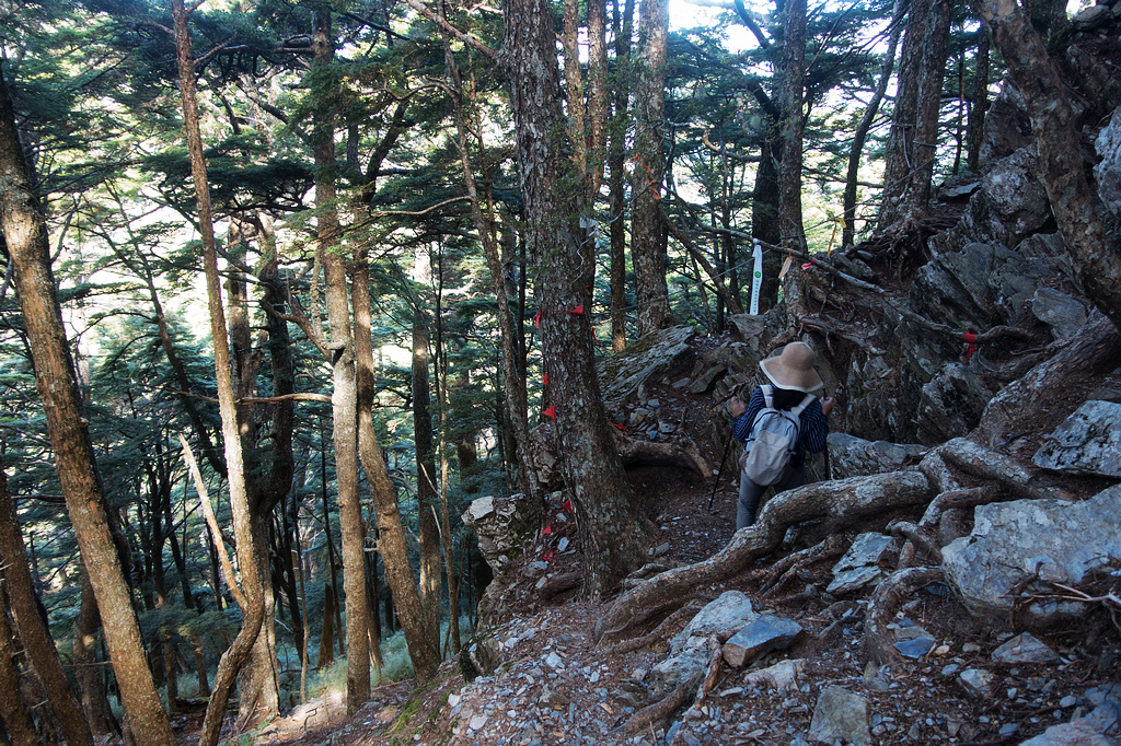 DSC02708.jpg DSC02708.jpg