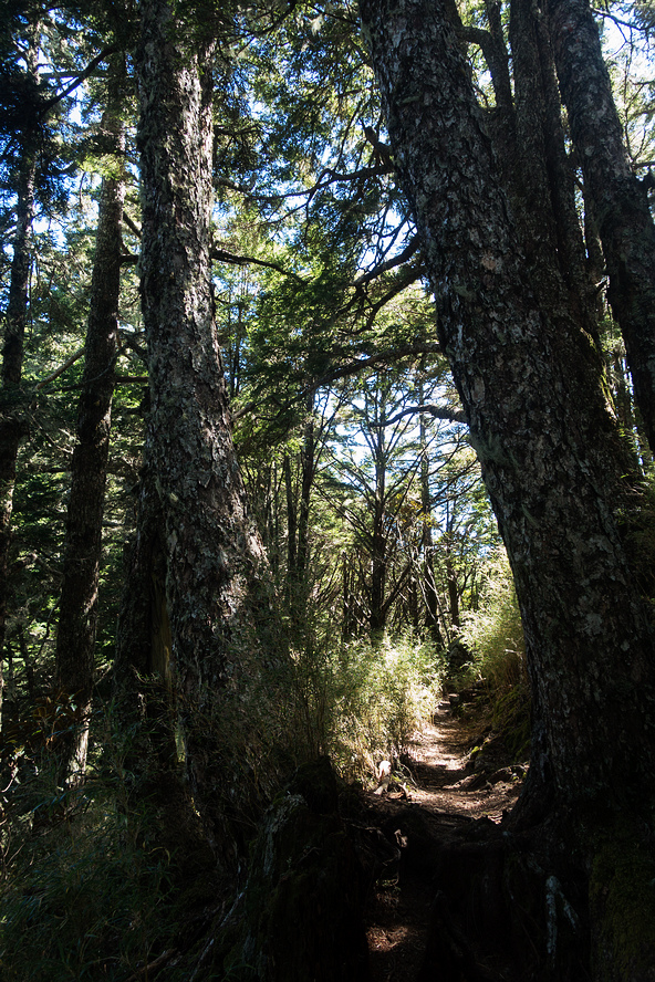 DSC02715.jpg DSC02715.jpg