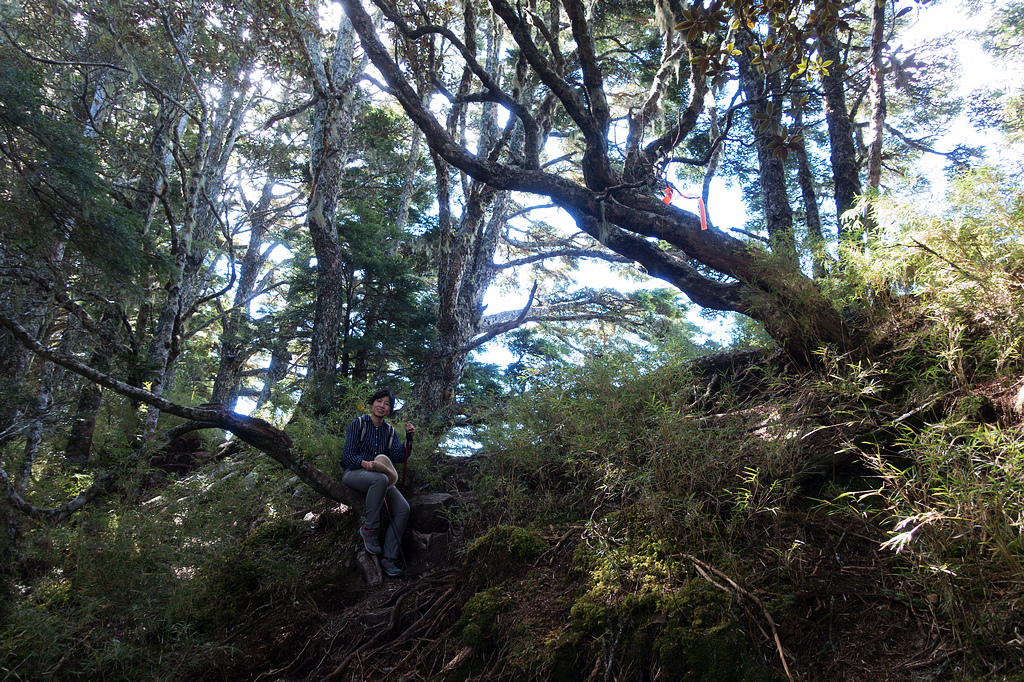 DSC02714.jpg DSC02714.jpg