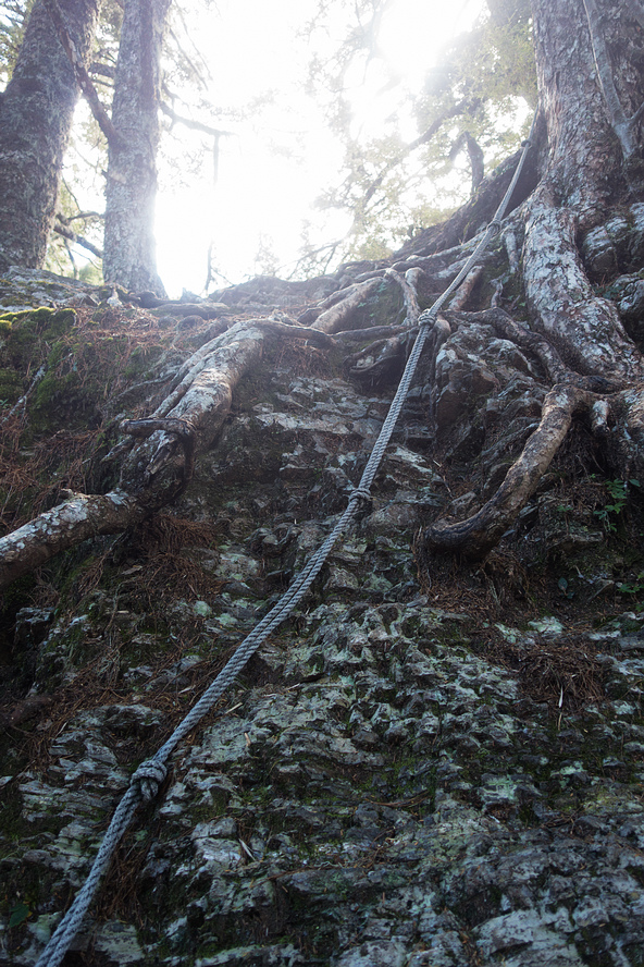 DSC02711.jpg DSC02711.jpg