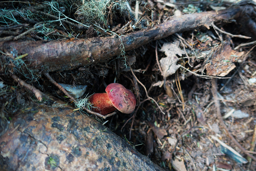 DSC02720.jpg DSC02720.jpg