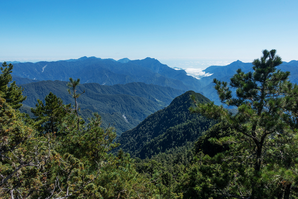 DSC02724.jpg DSC02724.jpg