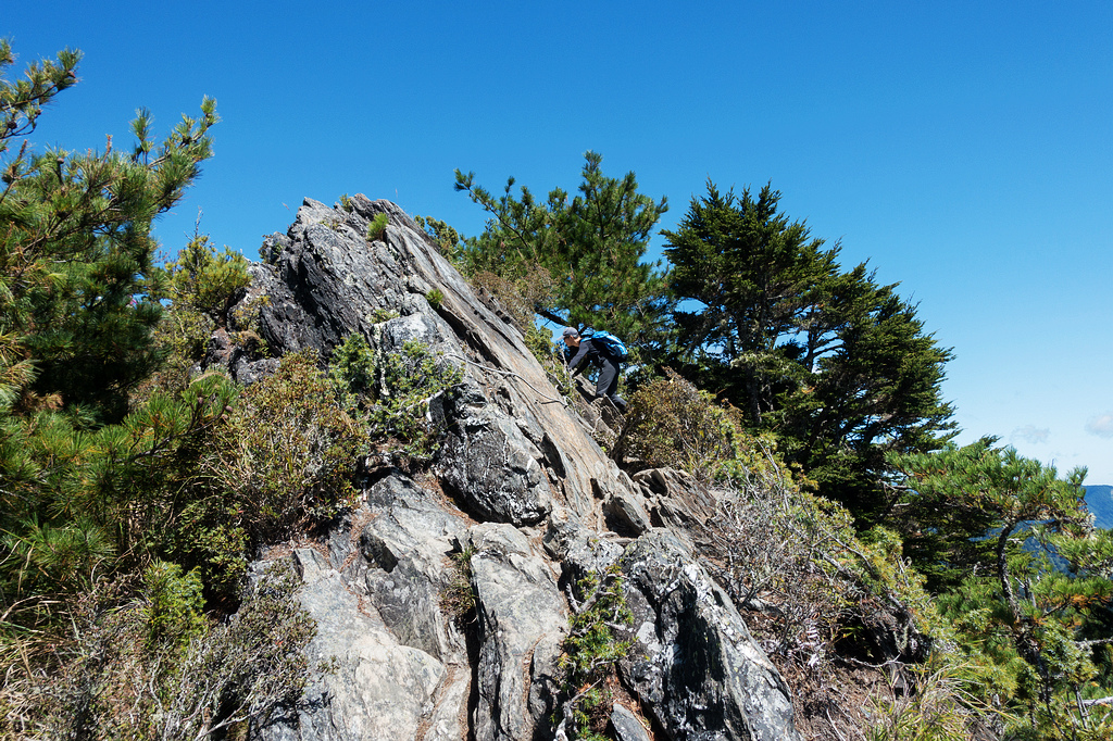 DSC02727.jpg DSC02727.jpg