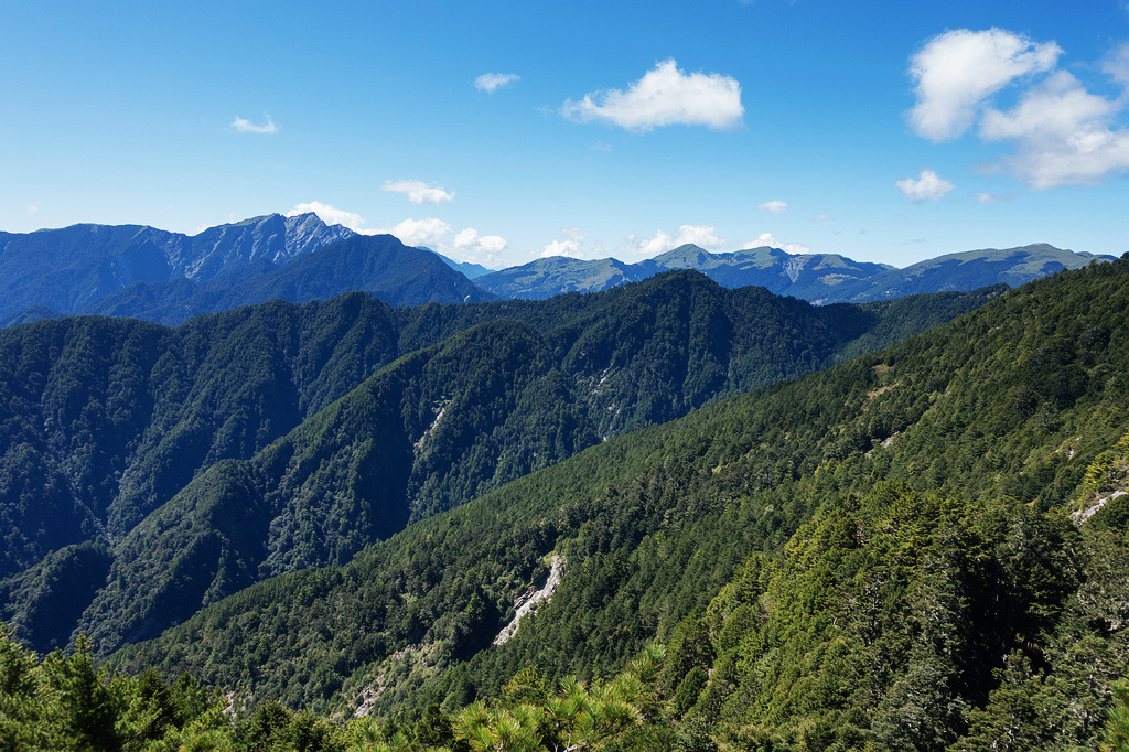 DSC02745.jpg DSC02745.jpg