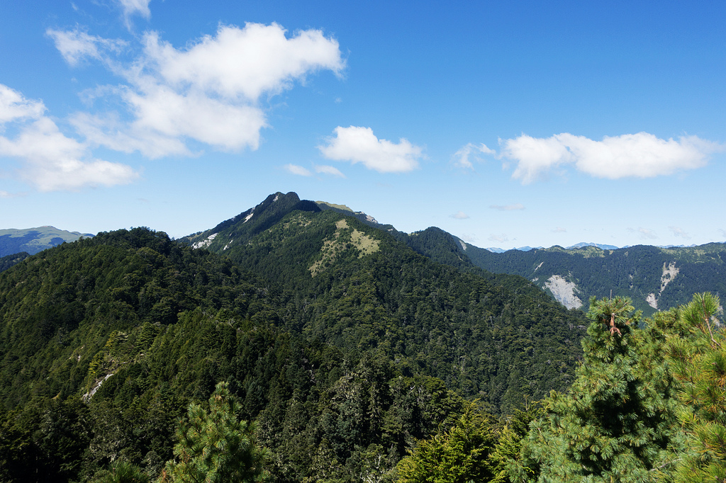 DSC02746.jpg DSC02746.jpg