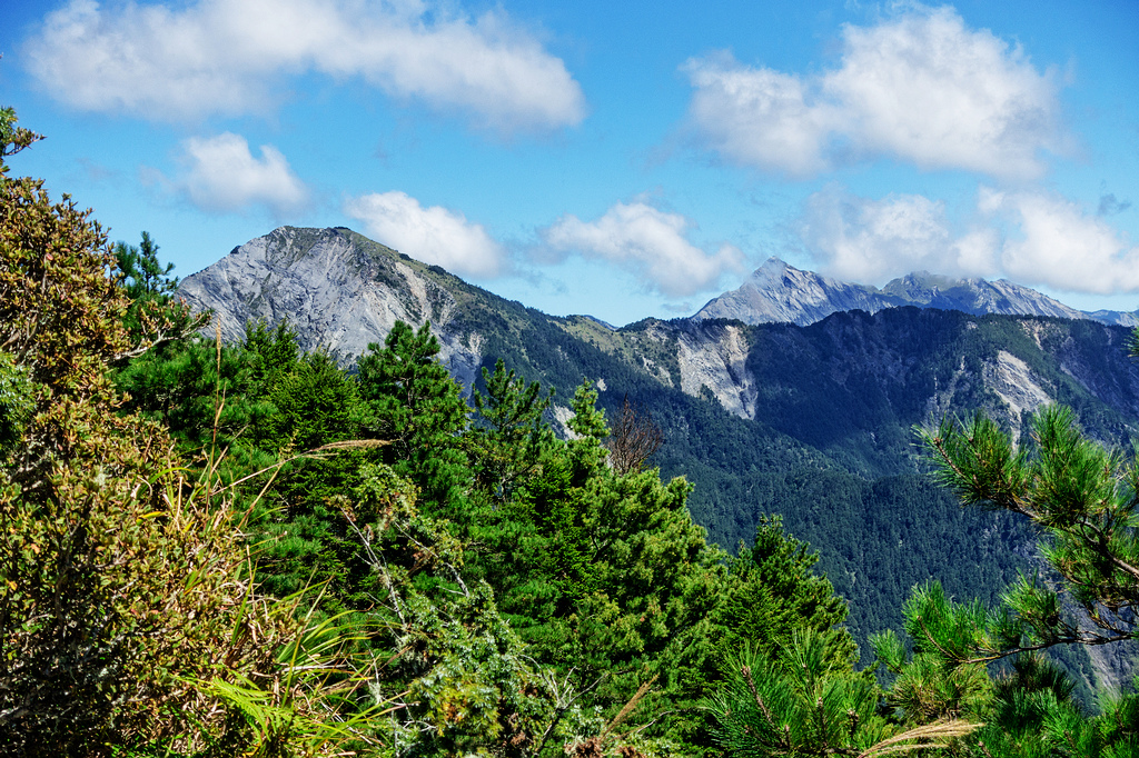 DSC02756-編輯.jpg DSC02756-編輯.jpg